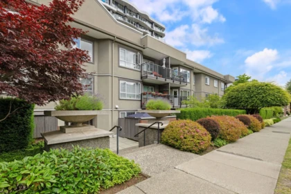 Backyard Photo of 319 555 W 14th Avenue, Vancouver, BC
