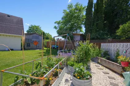 Garden / Landscaping Photo of 8585 Broadway Street, Chilliwack, BC