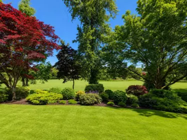 Front Yard Photo of 19 15715 34 Avenue, Surrey, BC