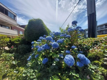 205 1448 Fir Street, White Rock, BC, White Rock — Apartment/Condo for sale