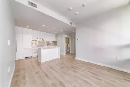 Pantry Photo of 301 5380 Crooked Branch Road, Vancouver, BC