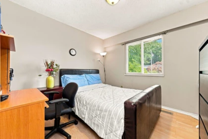 Basement Recreation Room Photo of 9146 118 Street, Delta, BC