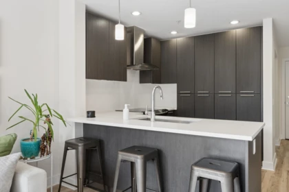 Kitchen Photo of 312 733 W 3rd Street, North Vancouver, BC
