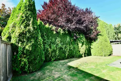 Primary Bedroom Photo of 81 6245 Sheridan Road, Richmond, BC