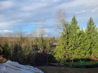 2 35133 Christina Place, Abbotsford, BC, Abbotsford — Land for sale