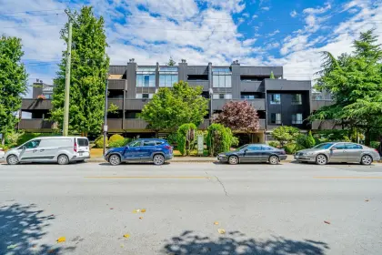 101 7300 Moffatt Road, Richmond, BC, Richmond — Apartment/Condo for sale