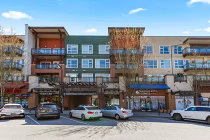 212 20728 Willoughby Town Centre Drive, Langley, BC, Langley — Apartment/Condo for sale