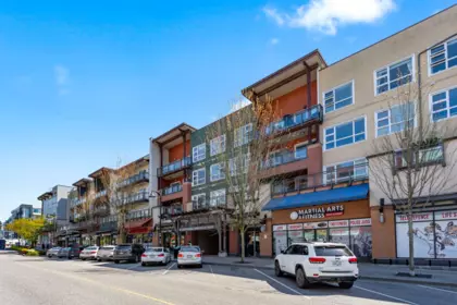 212 20728 Willoughby Town Centre Drive, Langley, BC, Langley — Apartment/Condo for sale