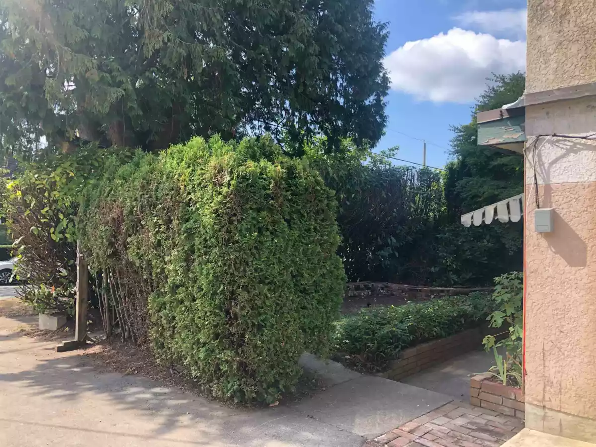 Living Room Photo of 3019 W 43rd Avenue, Vancouver, BC