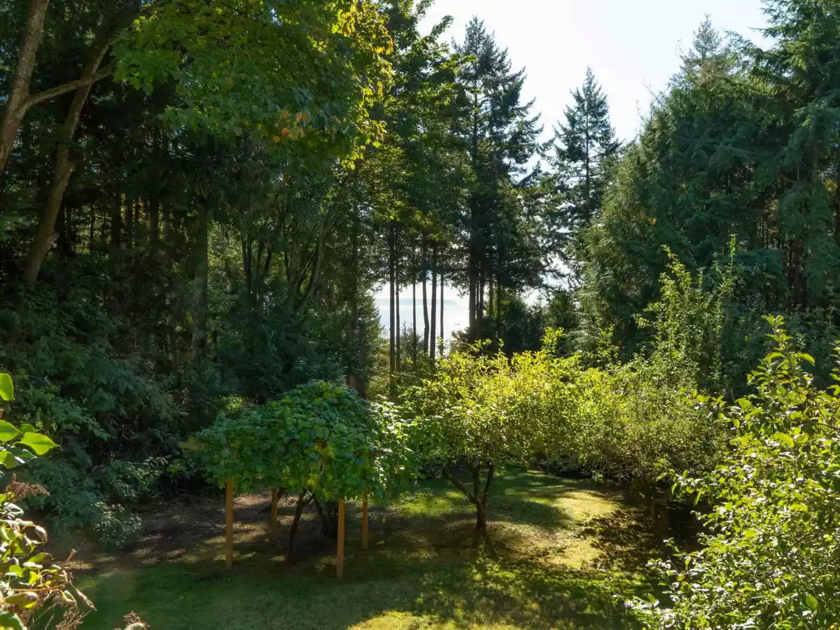 Backyard Photo of 1245 Miller Road, Bowen Island, BC