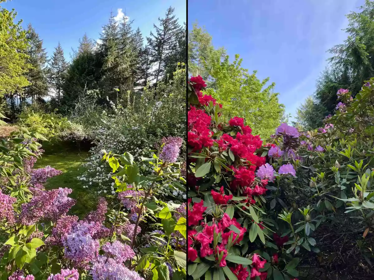 Community Amenities Photo (Clubhouse) of 1245 Miller Road, Bowen Island, BC