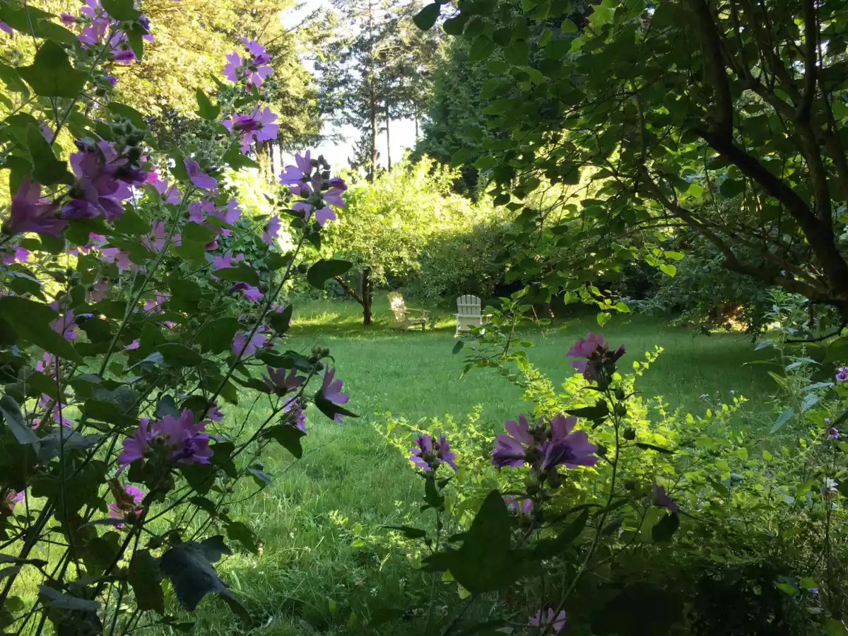 Fitness Center Photo Near 1245 Miller Road, Bowen Island, BC