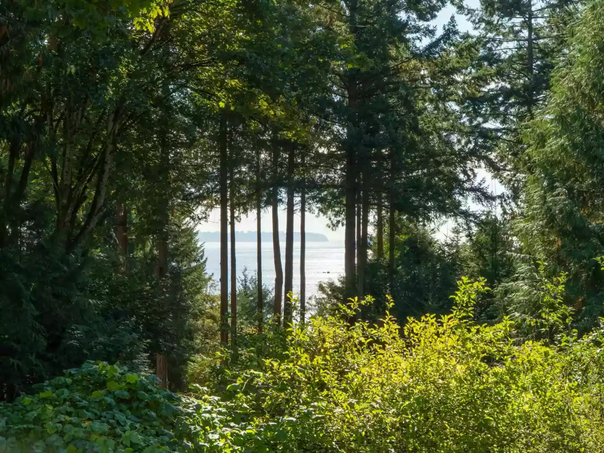 Outdoor Deck Photo of 1245 Miller Road, Bowen Island, BC