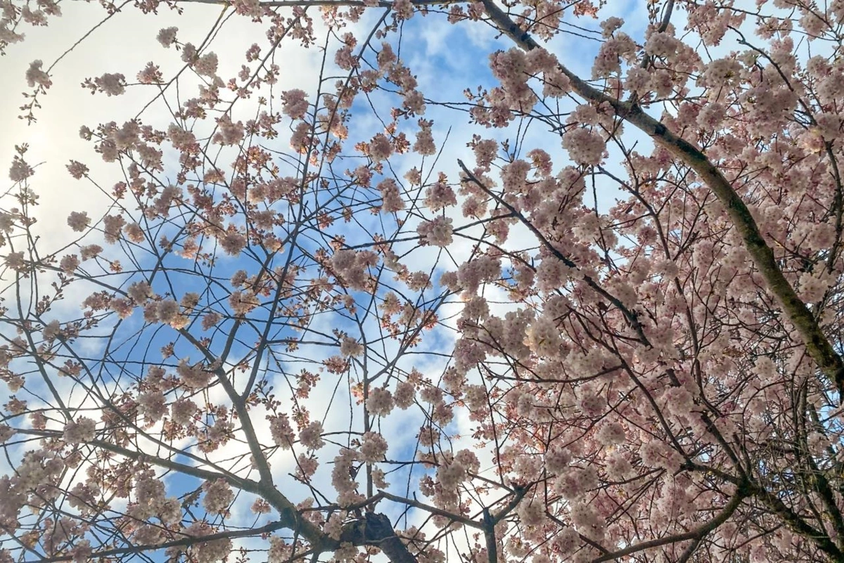 Hot Tub / Spa Photo of 3274 W 1st Avenue, Vancouver, BC