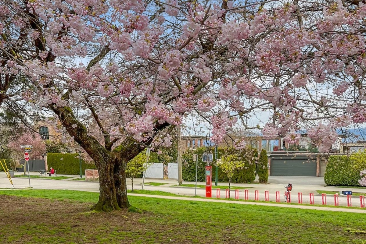 Swimming Pool Photo of 3274 W 1st Avenue, Vancouver, BC