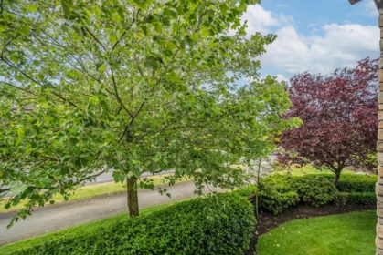 Backyard Photo of 204 16421 64 Avenue, Surrey, BC