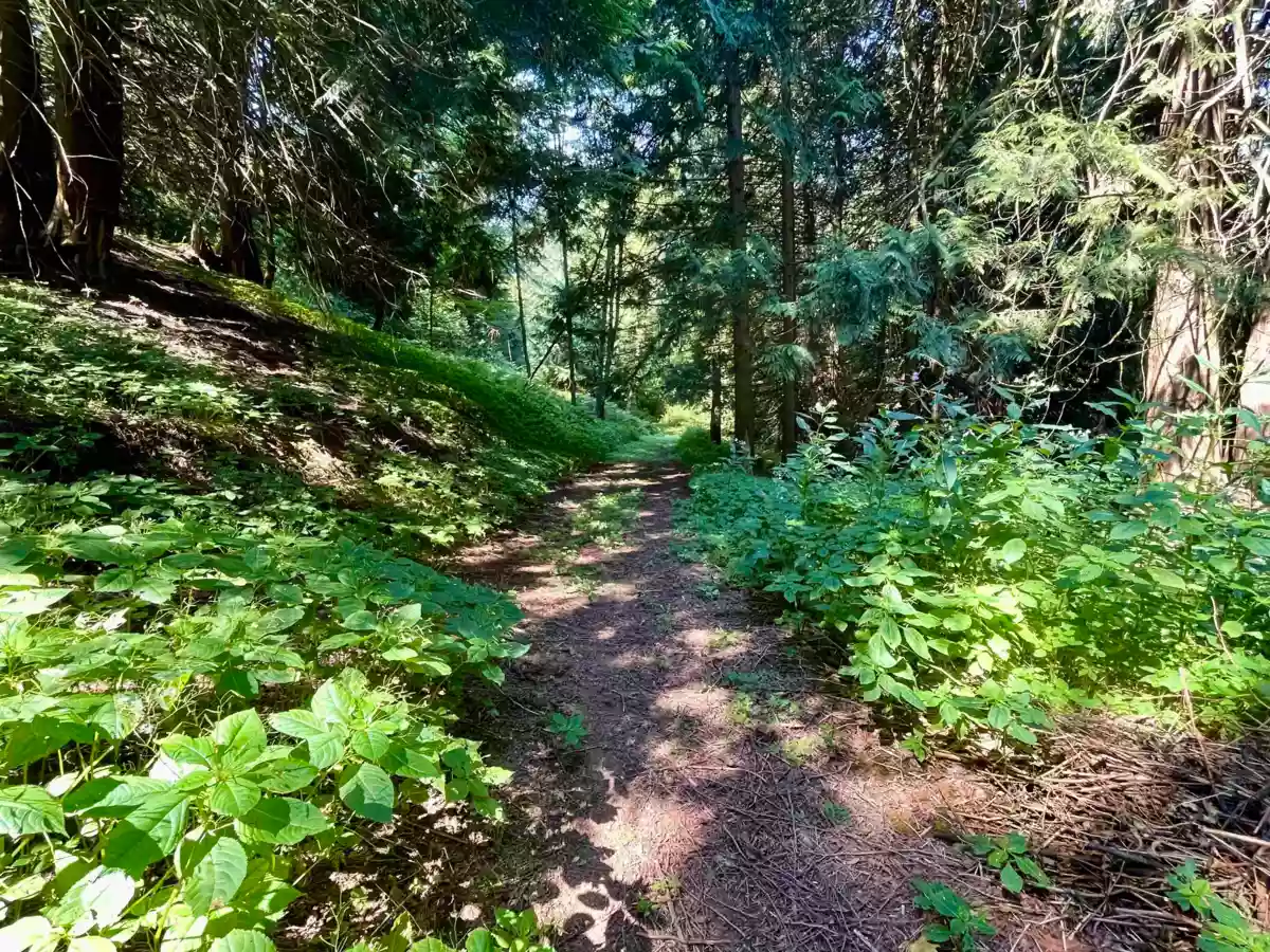 Garden / Landscaping Photo of 6080 Ross Road, Chilliwack, BC
