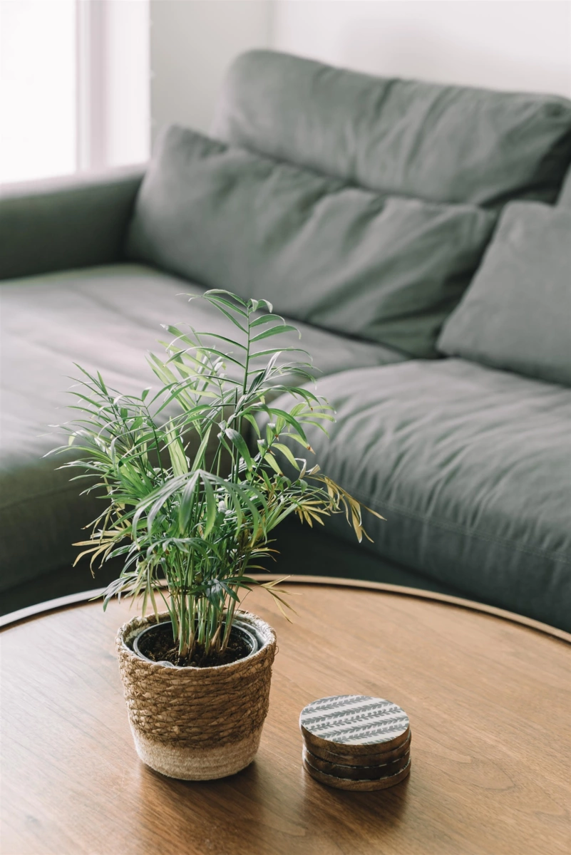 Primary Bedroom Photo of 402 516 Foster Avenue, Coquitlam, BC