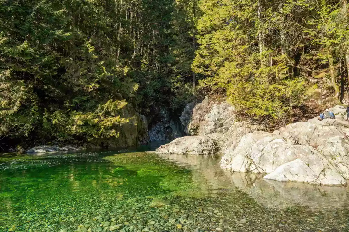 Aerial View of 3981 Lynn Valley Road, North Vancouver, BC