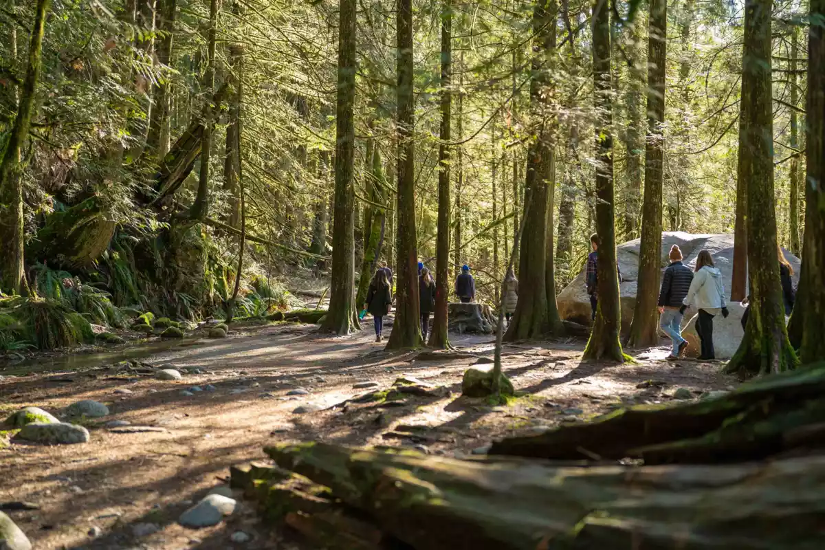 Neighborhood Park Photo Near 3981 Lynn Valley Road, North Vancouver, BC