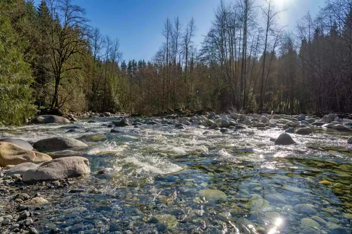 Street View Photo of 3981 Lynn Valley Road, North Vancouver, BC