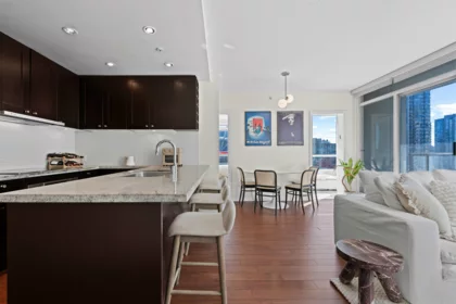 Entry Foyer Photo of 607 821 Cambie Street, Vancouver, BC