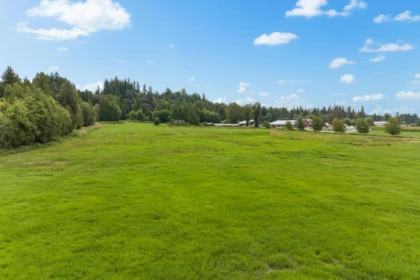 Garden / Landscaping Photo of 24250 88 Avenue, Langley, BC