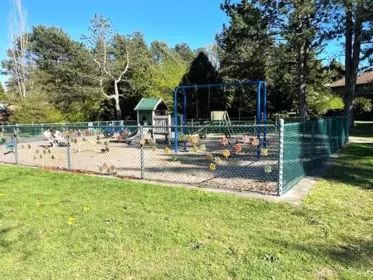 Backyard Photo of 15863 Alder Place, Surrey, BC