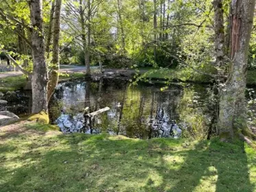 Front Yard Photo of 15863 Alder Place, Surrey, BC
