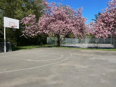 Outdoor Patio Photo of 15863 Alder Place, Surrey, BC