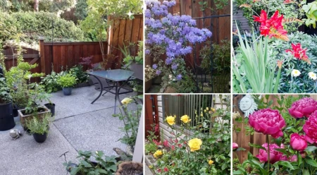 Front Yard Photo of 139 13880 74 Avenue, Surrey, BC