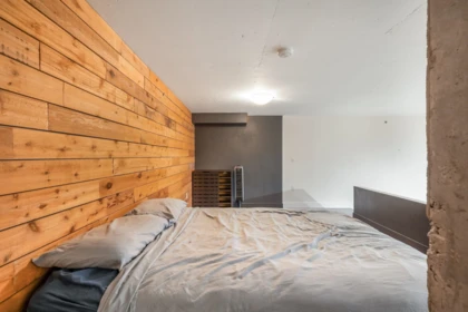 Loft / Bonus Room Photo of 507 22 E Cordova Street, Vancouver, BC