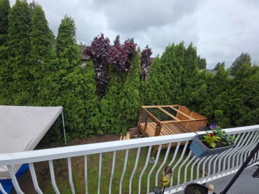 Powder Room Photo of 32575 Peardonville Road, Abbotsford, BC