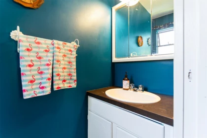 Powder Room Photo of 1391 Oriole Avenue, Port Coquitlam, BC