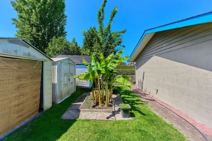 Backyard Photo of 6086 49 Avenue, Delta, BC