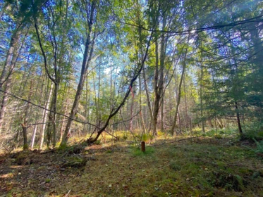 Hallway Photo of Lot 19 Dl 71, Galiano Island, BC