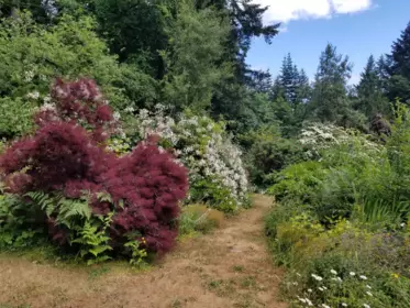 Backyard Photo of 380 S Warbler Road, Galiano Island, BC