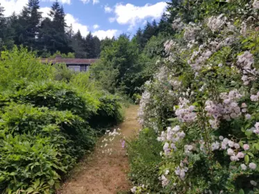 380 S Warbler Road, Galiano Island, BC, Galiano Island — Single Family Residence for sale