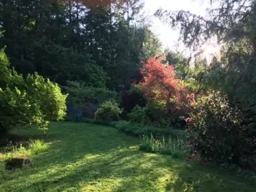 Hot Tub / Spa Photo of 380 S Warbler Road, Galiano Island, BC
