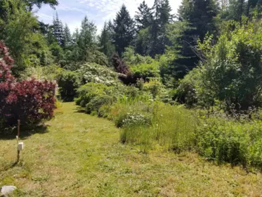Office / Den Photo of 380 S Warbler Road, Galiano Island, BC