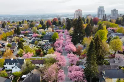 Neighborhood Park Photo Near 416 Second Street, New Westminster, BC