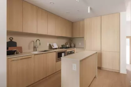 Pantry Photo of 233 2830 Nanaimo Street, Vancouver, BC