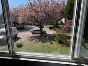 8868 Roslin Place, Surrey, BC, Surrey — Single Family Residence for sale