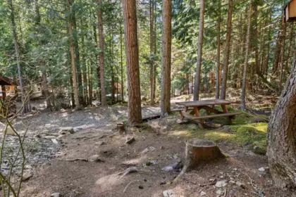 Backyard Photo of H68 Strawberry Lane, Sunshine Valley, BC
