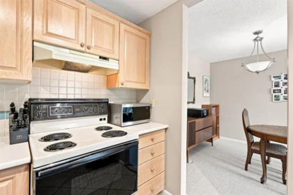 Pantry Photo of 203 1840 E Southmere Crescent, Surrey, BC