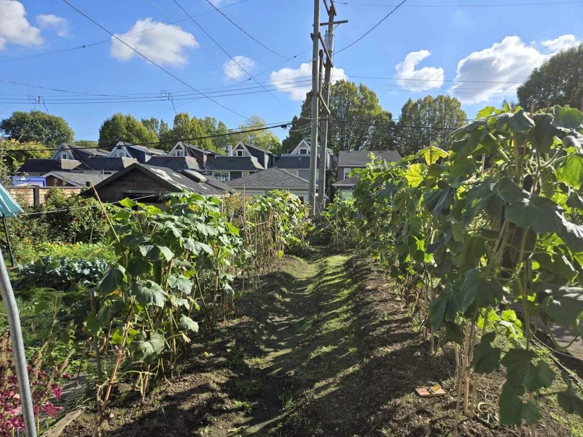 Exterior Rear Photo of 872 Union Street, Vancouver, BC