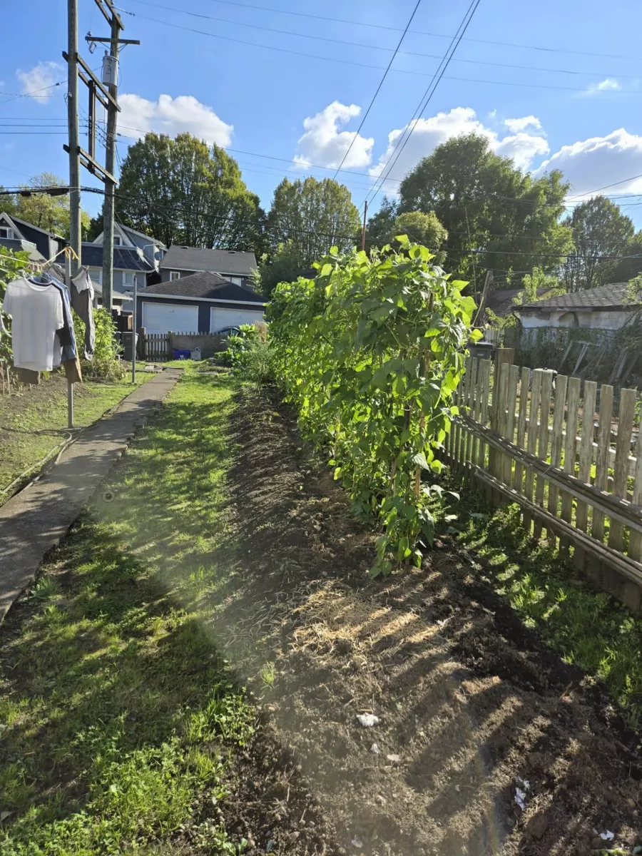 Living Room Photo of 872 Union Street, Vancouver, BC