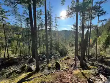LOT 5 13685 Lee Road, Garden Bay, BC, Garden Bay — Land for sale