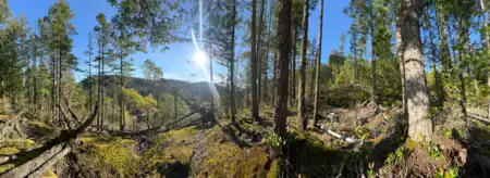 LOT 5 13685 Lee Road, Garden Bay, BC, Garden Bay — Land for sale