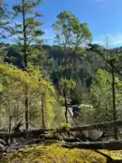 LOT 5 13685 Lee Road, Garden Bay, BC